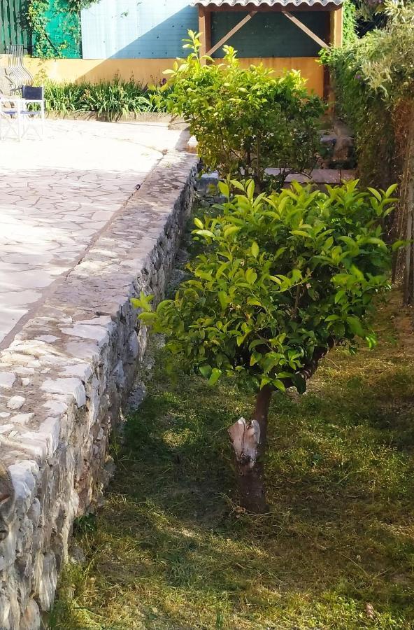 Rez-De-Villa موجا المظهر الخارجي الصورة