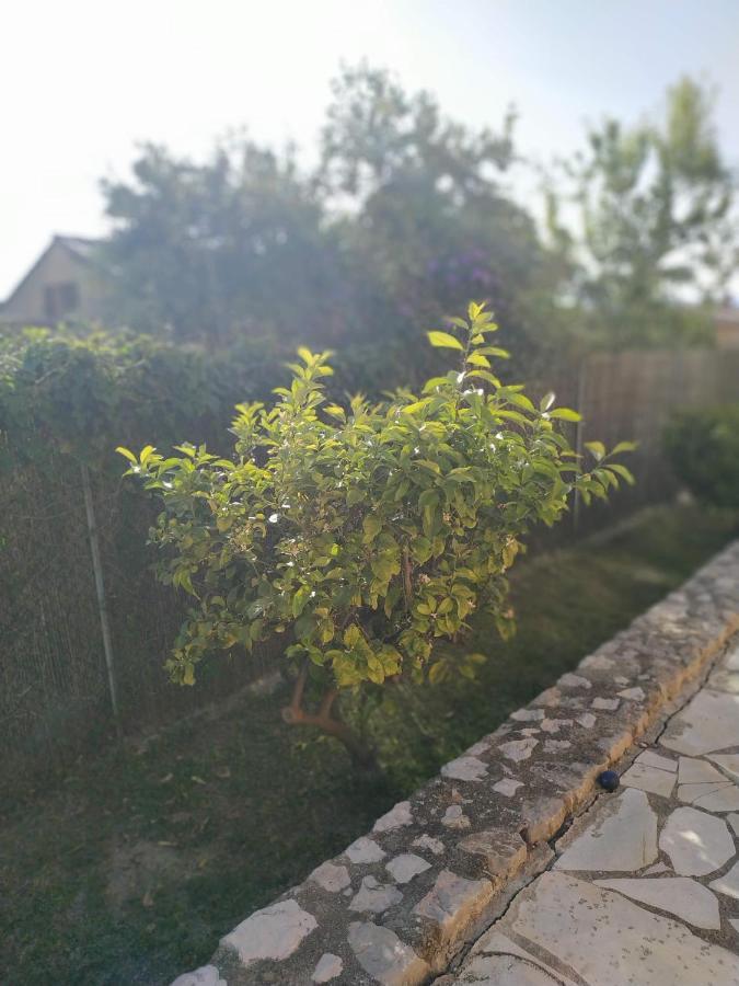 Rez-De-Villa موجا المظهر الخارجي الصورة